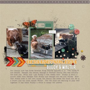 The Boys page 2 - MOC 2015