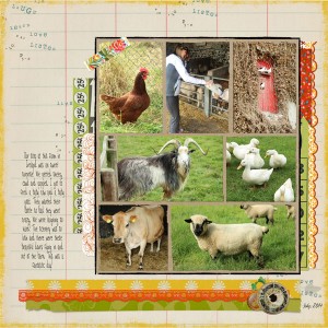 Irish Farm