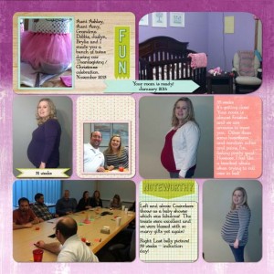 Pregnancy Pocket Pages