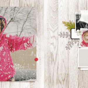 merry snow fun