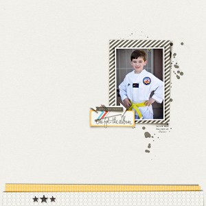 Yellow Belt