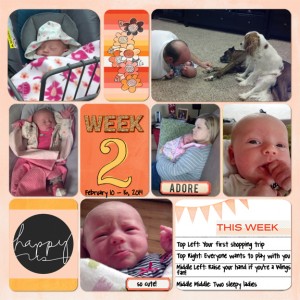 Week 2