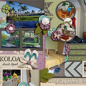 MOC #25 Waikoloa Beach Resort