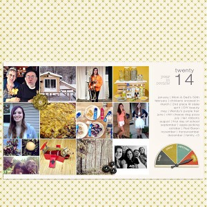 Year in Review 2014