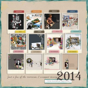 2014 Scrapping Year In Review