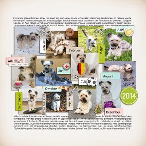 MOC 28 Year in Review
