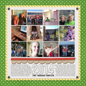 Year in Review - 2014