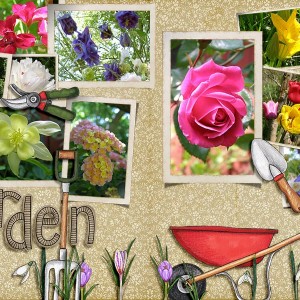 My Garden