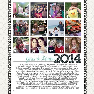 2014_in-review