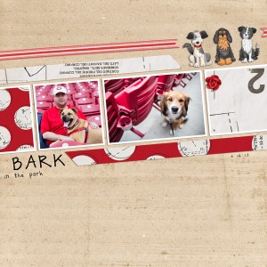 Bark In The Park