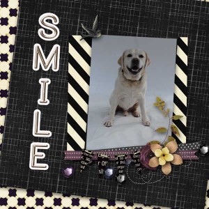 January 29: Title Work