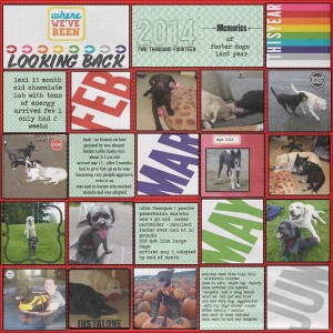 January 31: Pocket Page