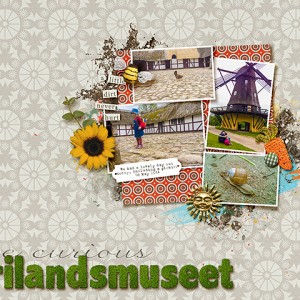Frilandsmuseet