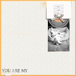 you are my sunshine