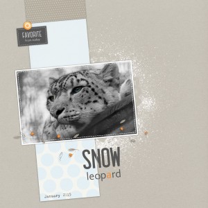 Snow leopard