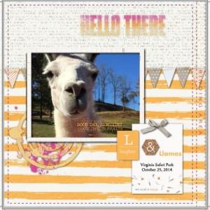 Laughter & Llamas
