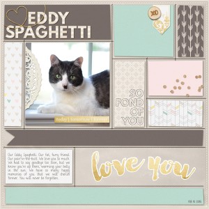 Eddy Spaghetti
