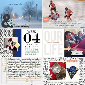 January 2015-week 4