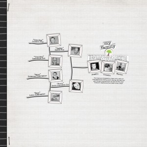 my family tree