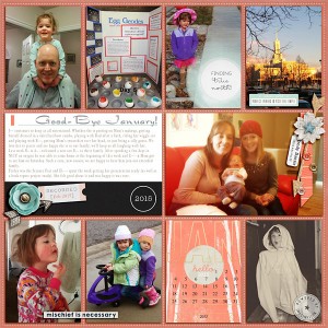 Project Life Jan