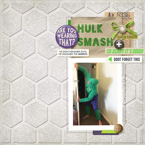 Lilypad_Feb_2015_Challenge_template_72dpi