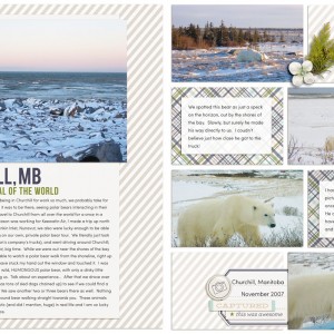 Polar Bears in Churchill