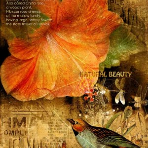 NATURAL BEAUTY