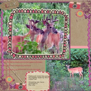 deer