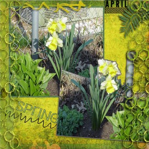 want spring