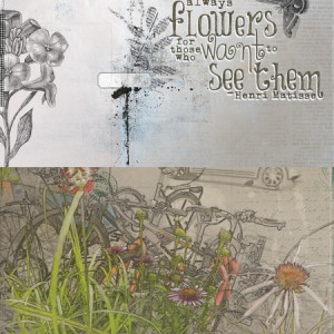 Flowers