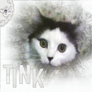 15_03_lift_stink