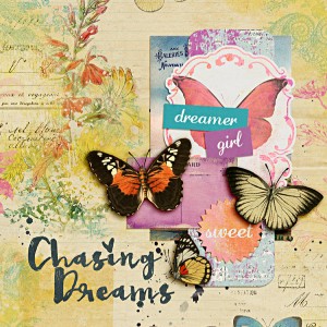 Chasing Dreams