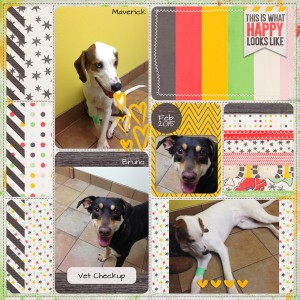 MARCH 2015 PRODUCT CHALLENGE