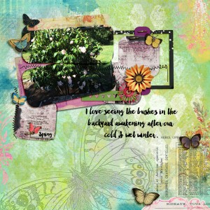 My Garden