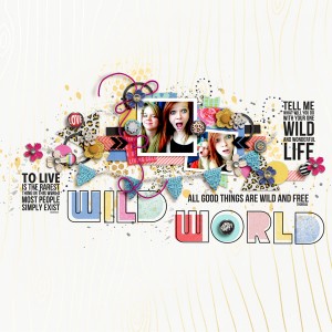 Wild World