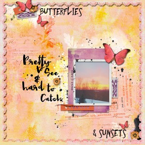 Butterflies & Sunsets