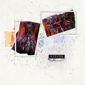 Vision