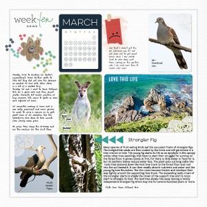 March 1b