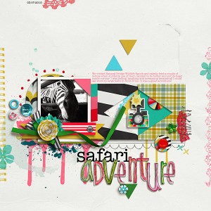 Safari Adventure