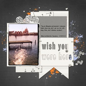 Wish