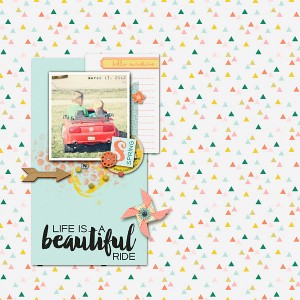 Life is a Beautiful Ride