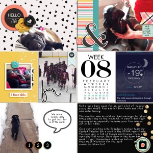 February 2015 week 8
