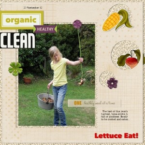 lettuce