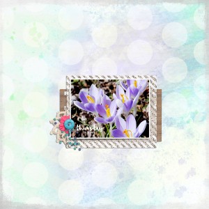 Spring Coming