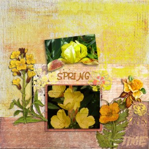 spring