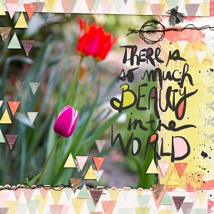 Beauty in the World