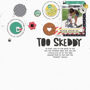 Too Skeddy
