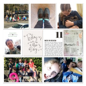 Project Life week 11