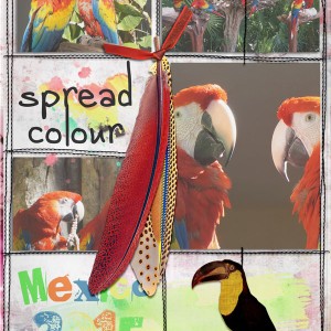 Spread Color