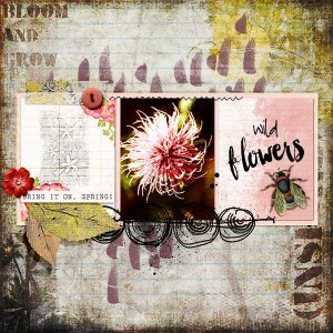 3/26 slow scrap - Wild Flower